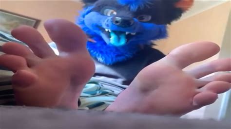 gay furry feet|Gay furry foot fetish